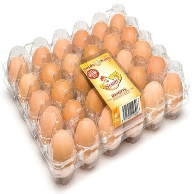 Uygun 8 adet 0.7mm PVC Plastik Yumurta Karton Taşıma Yumurta Kuluçka Tepsisi
