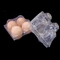 15 paket Tek Kullanımlık PET Şeffaf Plastik Yumurta Tepsisi 71mm Kare Yumurta Tepsisi Tutucu