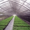 300gsm Geri Dönüştürülebilir% 98 Kreş Gölge Net Güneş Kremi Bahçe Netleştirme Mesh