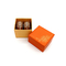 Güzel Turuncu Kraft Kağıt Macaron Ambalaj Kutusu Geri Dönüştürülebilir UV Kaplama 2 adet
