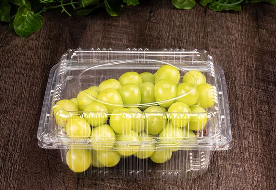Ürün ve ilaç için ısıl mühürleme ve geri dönüştürülebilir malzeme ile özelleştirilmiş PET plastik kabarcık ambalaj kutusu
