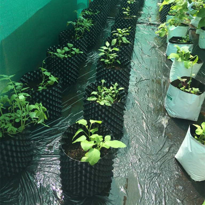 Yeni Tasarım Hava Çiçek Ekim Potları Tek kullanımlık budama Kök Pot
