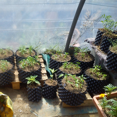 Yeni Tasarım Hava Çiçek Ekim Potları Tek kullanımlık budama Kök Pot