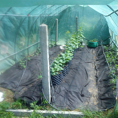 Yeni Tasarım Hava Çiçek Ekim Potları Tek kullanımlık budama Kök Pot