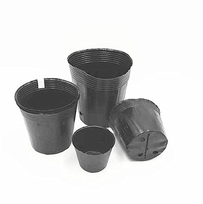 Toptan satış Kara plastik yumuşak kabarcık çiçek tohumları ağaç için kap