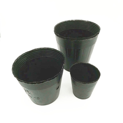 Özel Boyutlı Siyah PVC PS Plastik Yumuşak Çiçek Beslenme Kapı Bitirme İçin
