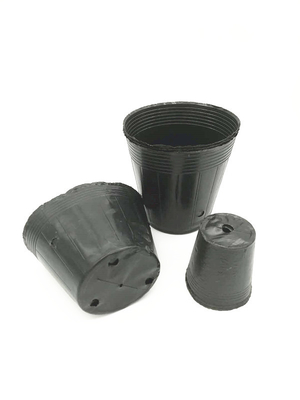 Özel Boyutlı Siyah PVC PS Plastik Yumuşak Çiçek Beslenme Kapı Bitirme İçin
