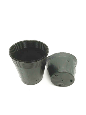Özel Boyutlı Siyah PVC PS Plastik Yumuşak Çiçek Beslenme Kapı Bitirme İçin