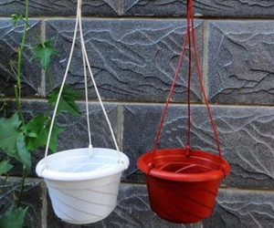 Plastik Kanca Duvarda Asılı Çiçek Kapı Odada Kaplanmamış