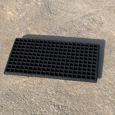 Yeni Tasarım Tohum Tesisi Büyüme Tesisi Bitki Çömlek Çömlek Yıkım Dayanıklı
