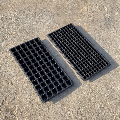 Yeni Tasarım Tohum Tesisi Büyüme Tesisi Bitki Çömlek Çömlek Yıkım Dayanıklı