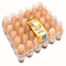 9 adet İstiflenebilir Plastik Yumurtalık 152mm Kare Kuluçka Yumurta Ayar Tepsisi