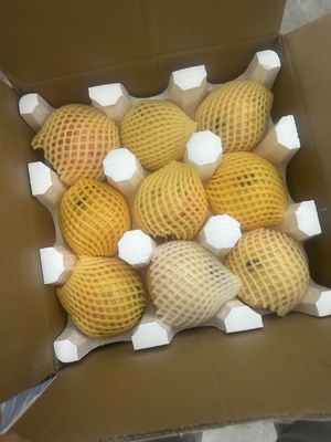 Balon sargı koruma EPS kırılgan mallar ambalaj koruma özelleştirilmiş