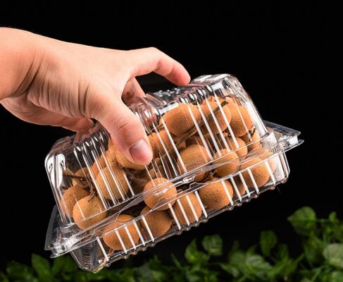 Customized Design Recyclable PET Box with Heat Sealing for Fruit Packaging and Plastic Blister Packaging