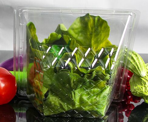 Customizable Recyclable PET Box for Fruits and Vegetables with Thermoforming Transparent Packaging