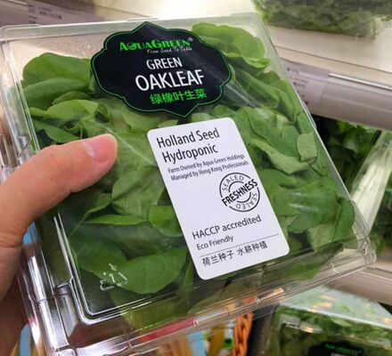 Customizable Recyclable PET Box for Fresh Vegetables and Fruits with Thermoforming Transparent Packaging