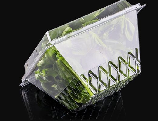 Customizable Recyclable PET Box for Fresh Vegetables and Fruits with Thermoforming Transparent Packaging