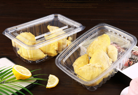 Özelleştirilebilir Tasarım Geri Dönüştürülebilir PET Isı Yalıtımlı Makaron Ambalajı ve Tek Kullanımlık Pasta Kutusu
