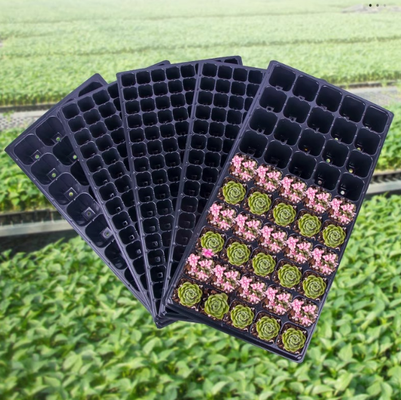 Seedling tray, cell trays, tray planters, seedling pots, seedling cups, seedling boxes - all for multi-functional seed and seedling cultivation of vegetables and sprouts.