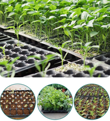 72 cell tray,105 cell tray,128 cell tray,200 cell tray,hole seed tray,