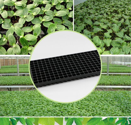 plant propagation tray,germination tray,seeding tray,cell seed tray,greenhouse tray,seed plug tray