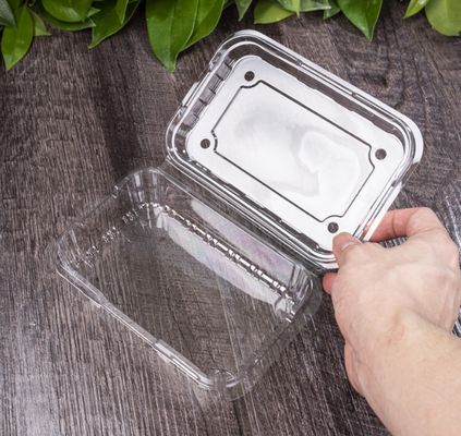 Meyve tepsisi ambalajları, et ambalaj kutuları, sebze ambalaj kutuları, fidan tepsileri, plastik çiçek kavanozları, fast food kutuları, ayrıca PVC, PP, PET şeffaf kutuları ve basılı kutular üretmektedir.