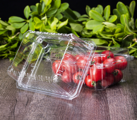 Meyve kutuları, et ambalaj kutuları, sebze ambalaj kutuları, fidan tepsileri, plastik çiçek kavanozları, fast food kutuları, ayrıca PVC, PP, PET şeffaf kutuları ve basılı kutular.
