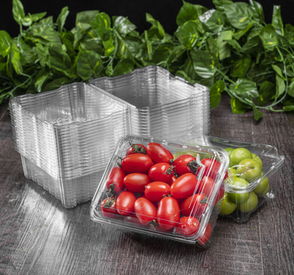 Meyve tepsisi ambalajları, et ambalaj kutuları, sebze ambalaj kutuları, fidan tepsileri, plastik çiçek kavanozları, fast food kutuları, ayrıca PVC, PP, PET şeffaf kutuları ve basılı kutular üretmektedir.