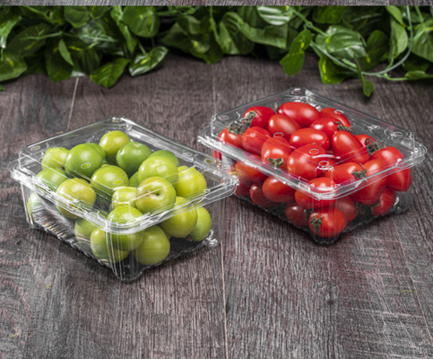 Meyve plastik kutuları, meyve tepsileri, et ambalaj kutuları, sebze ambalaj kutuları, fast food kutuları, bisküvi kutuları, kek kutuları, ayrıca şeffaf kutular ve basılı kutular.