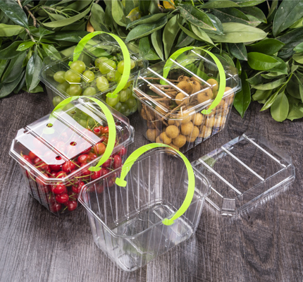 Meyve plastik kutuları, meyve tepsileri, et ambalaj kutuları, sebze ambalaj kutuları, fast food kutuları, bisküvi kutuları, kek kutuları, ayrıca şeffaf kutular ve basılı kutular.