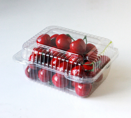 Meyve kutuları, et ambalaj kutuları, sebze ambalaj kutuları, fidan tepsileri, plastik çiçek kavanozları, fast food kutuları, ayrıca PVC, PP, PET şeffaf kutuları ve basılı kutular.