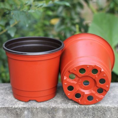 15cm Üst Dia Tek Kullanımlık Plastik Saksılar Kaktüs 5 Galon Ekici