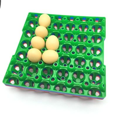 9 adet İstiflenebilir Plastik Yumurtalık 152mm Kare Kuluçka Yumurta Ayar Tepsisi