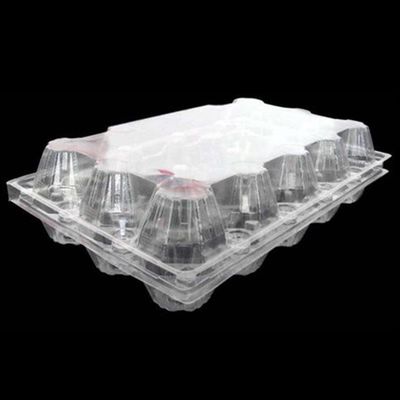 15 paket Tek Kullanımlık PET Şeffaf Plastik Yumurta Tepsisi 71mm Kare Yumurta Tepsisi Tutucu