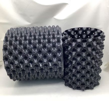 HDPE kök kontrol saksısı