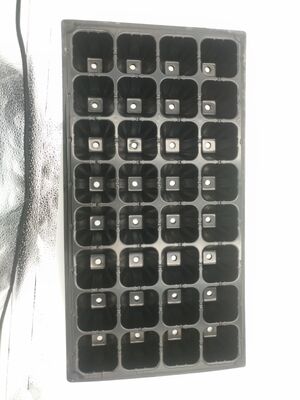 Orman Ağaçları için 2mm kalınlığında 32 hücreli Plastik Fide Tepsisi - Yaşlanmaya Dayanıklı ve Dayanıklı