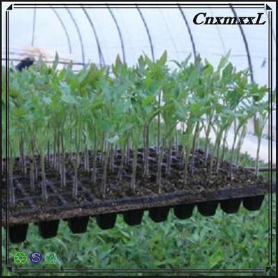 Orman ağaçları için 2 mm kalınlığında 32 50 98 108 118 200 hücrelik plastik tohumlama tepsisi - Yaşlanmaya karşı dayanıklı ve dayanıklı