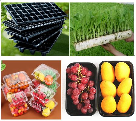 Özel Tasarım Geri Dönüştürülebilir PET Plastik Blister Ambalaj, Isı Yalıtımlı, Taze Ürünler İçin