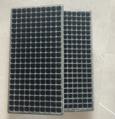 sera tepsisi, tohum fişleri tepsisi, fidanlık fişleri tepsisi, hidroponik tohum tepsisi, sebze tohumları tepsisi